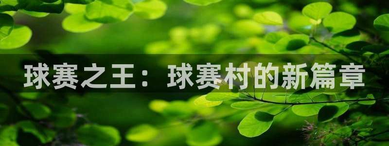 球赛之王：球赛村的新篇章