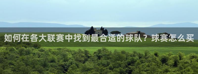 如何在各大联赛中找到最合适的球队？球赛怎么买