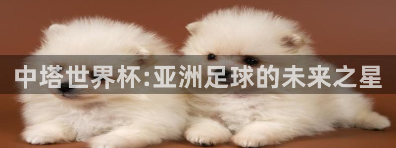 九游体育：中塔世界杯:亚洲足球的未来之星