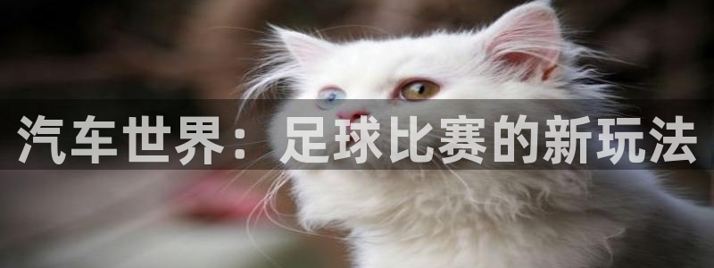 九游体育下载：汽车世界：足球比赛的新玩法