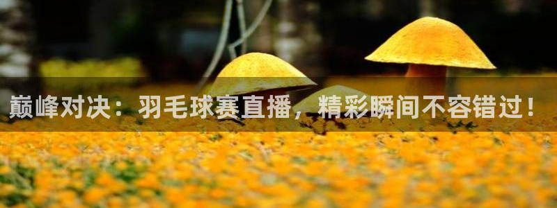 九游体育：巅峰对决：羽毛球赛直播，精彩瞬间不容错过！